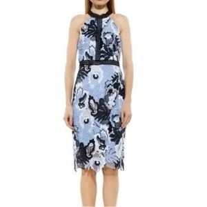 Alexia Admor Celine Lace Halter Dress